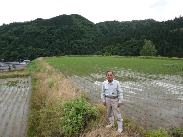 株式会社日食　池口重雄さん　【但馬　村岡米　極】　棚田米コシヒカリ　兵庫県但馬　　美方郡香美町村岡区村岡