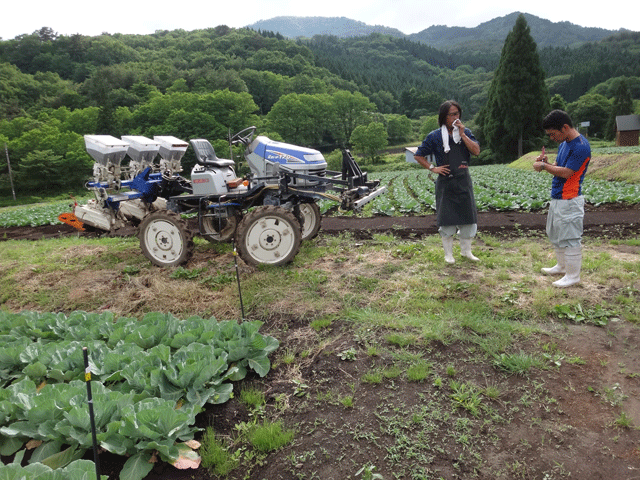 株式会社日食　山根勝義さん　【但馬　村岡米　極】　棚田米コシヒカリ　兵庫県但馬　　美方郡香美町村岡区　　高原キャベツ