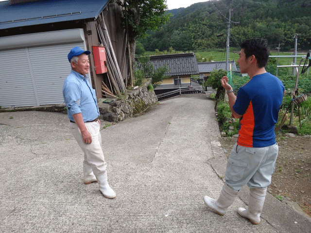 株式会社日食　中村博さん　【但馬　村岡米　極】　棚田米コシヒカリ　兵庫県但馬　　美方郡香美町村岡区市原