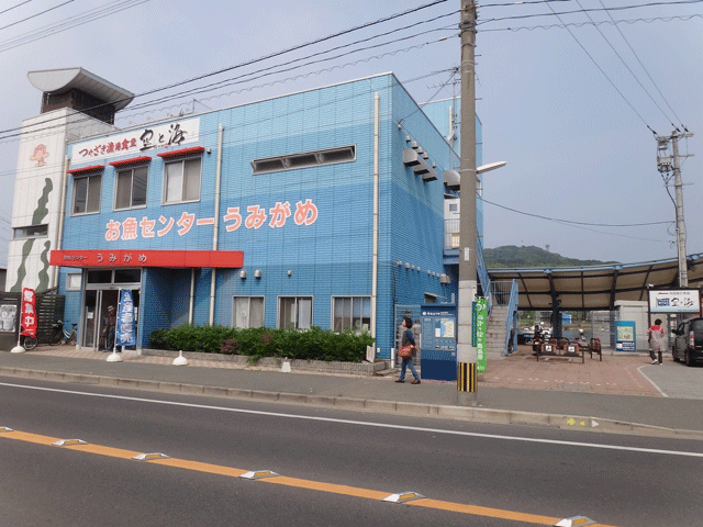 株式会社日食　お魚センター　うみがめ　福岡県 福津市津屋崎４丁目　