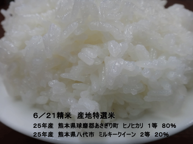 株式会社日食　今日のごはんの試食　産地特選米　２５年産　ヒノヒカリ　ミルキークイーン