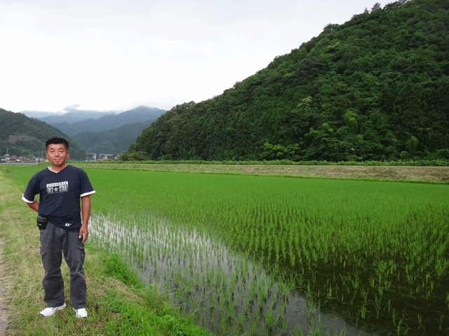 株式会社日食　注連川の糧　土井義則さん　島根県鹿足郡吉賀町注連川　コシヒカリ