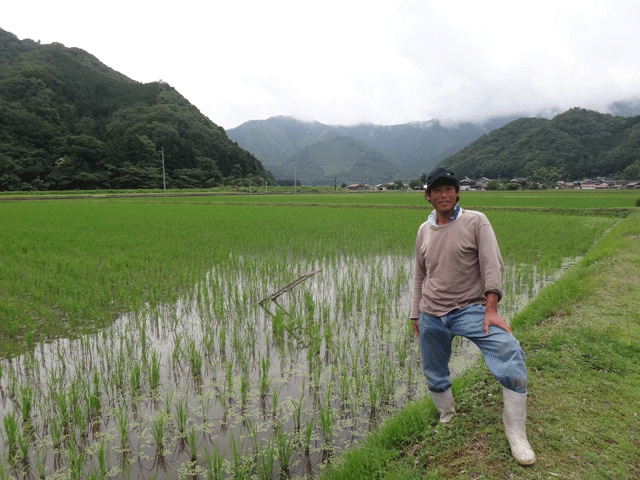 株式会社日食　注連川の糧　潮竜太郎さん　島根県鹿足郡吉賀町注連川　きぬむすめ