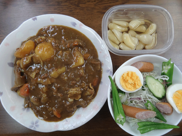 株式会社日食　今日のお昼ごはん　カレー　サラダ　自家製らっきょう漬け