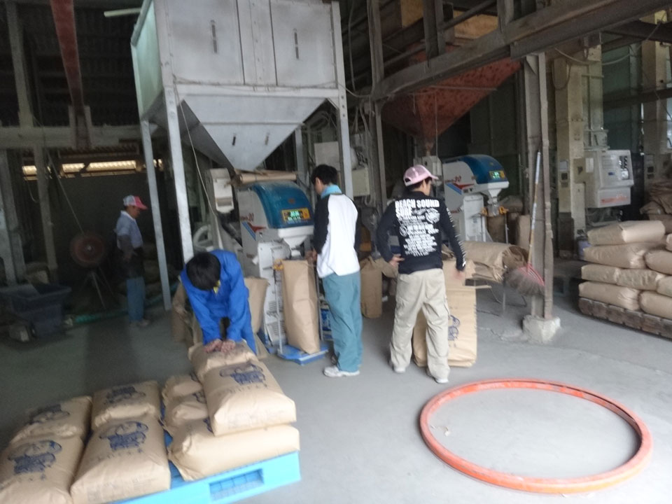 株式会社日食 産地特選米 26年産 新米コシヒカリ 鹿児島県肝属郡東串良町 大幸農産 中島正幸 籾摺り