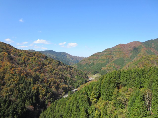 島根県仁多郡奥出雲町　三井野原大橋　奥出雲おろちループ　紅葉　コメショウ