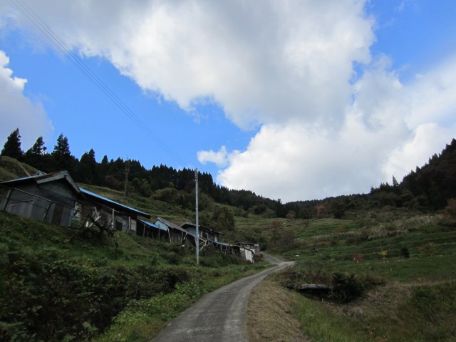 コメショウ　熊波の棚田　兵庫県但馬　美方郡香美町村岡区熊波