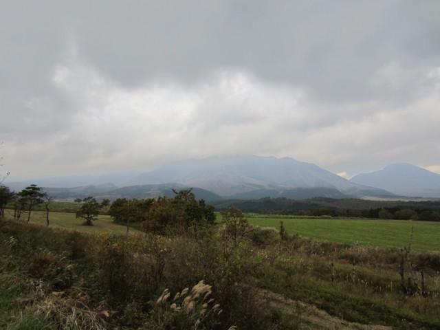 コメショウ　国道４４２号線　大分県竹田市久住町　くじゅう連山　久住高原