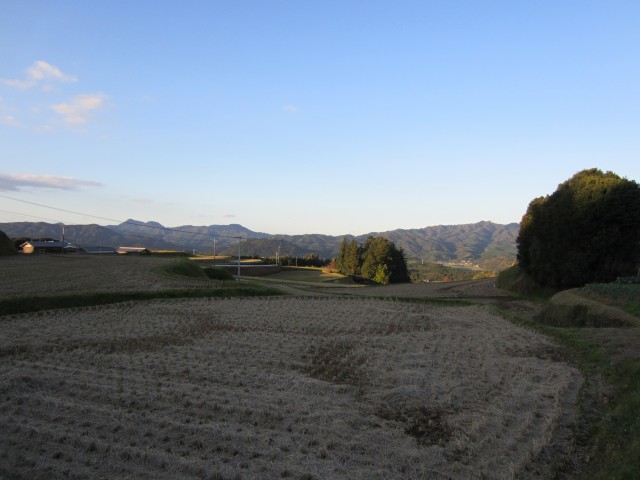 コメショウ　大分県杵築市山香町　山間　田んぼ