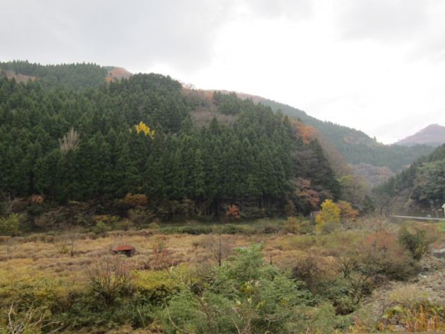 コメショウ　兵庫県但馬　美方郡香美町村岡区入江　湯舟川　耕作放棄地