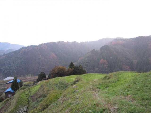 コメショウ　兵庫県但馬　美方郡香美町村岡区熊波　熊波の棚田　１２月５日