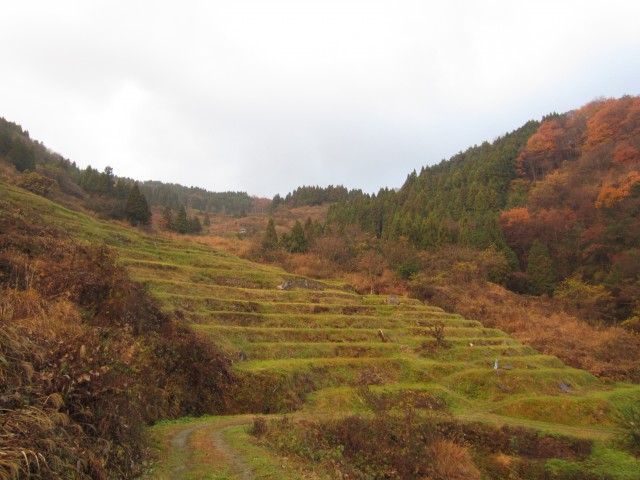 コメショウ　兵庫県但馬　美方郡香美町村岡区熊波　熊波の棚田　１２月５日