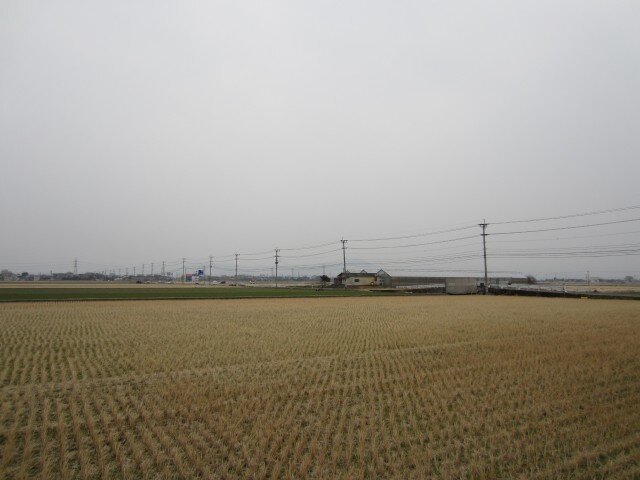 熊本県熊本市画図町 美味しいお米の産地 コメショウ 熊本県熊本市画図町 美味しいお米の産地 コメショウ