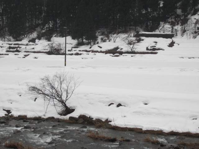 コメショウ　国道９号線　兵庫県但馬　美方郡新温泉町