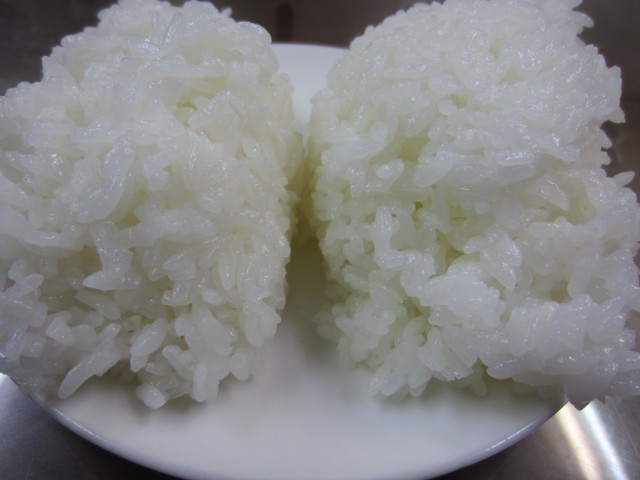 コメショウ　ごはん　試食