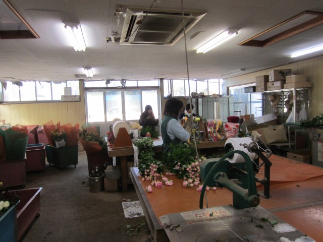 大分県杵築市山香町野原　佐藤バラ園　コメショウ