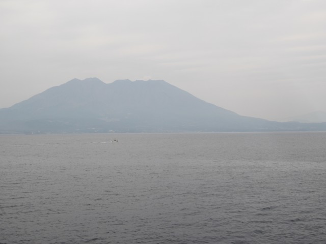 コメショウ　鴨池・垂水フェリー　桜島