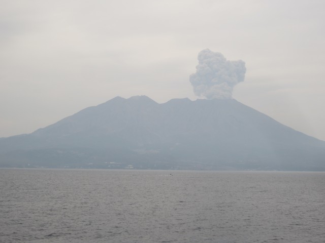 コメショウ　鴨池・垂水フェリー　桜島　噴火