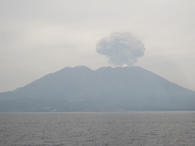 コメショウ　鴨池・垂水フェリー　桜島　噴火