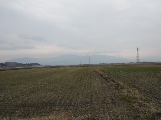 コメショウ　鹿児島県肝属郡東串良町　大幸農産　中島正幸　田んぼ視察