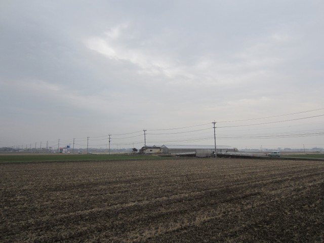 コメショウ　熊本県熊本市画図町　田んぼ