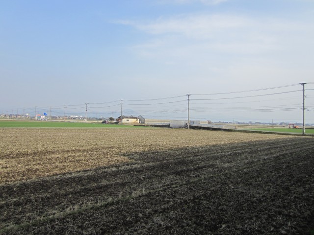 コメショウ　熊本県熊本市画図町　田んぼの風景
