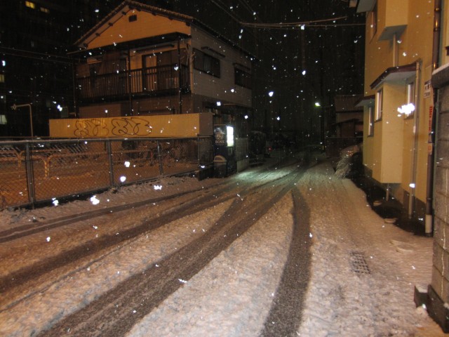 コメショウ　家の前　雪　福岡県糟屋郡粕屋町