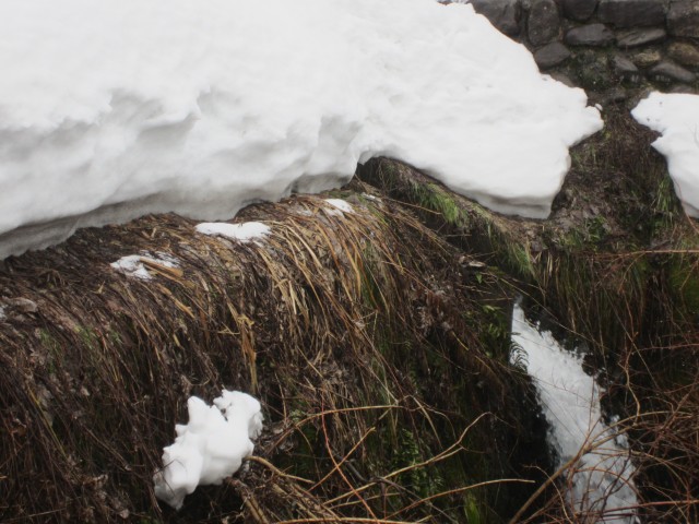 兵庫県但馬　美方郡香美町村岡区熊波　熊波の棚田　コメショウ　雪解け水