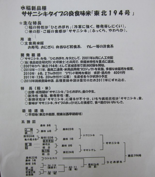 コメショウ　東北１９４号　古川農業試験場　宮城県　