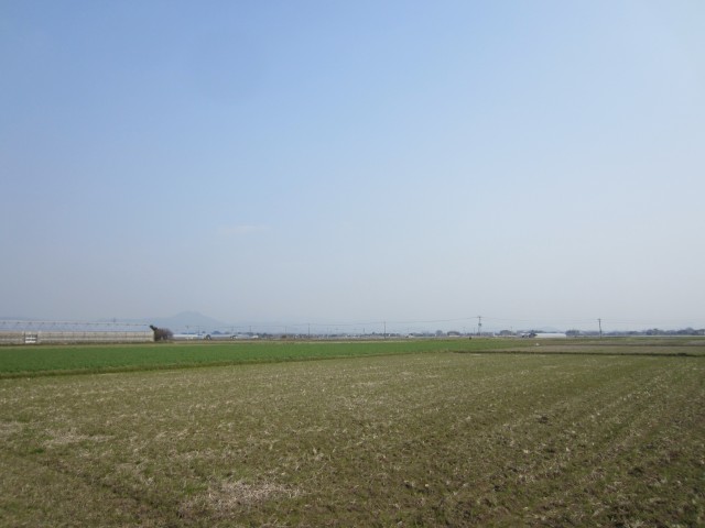 田んぼの風景　熊本県熊本市画図町　コメショウ