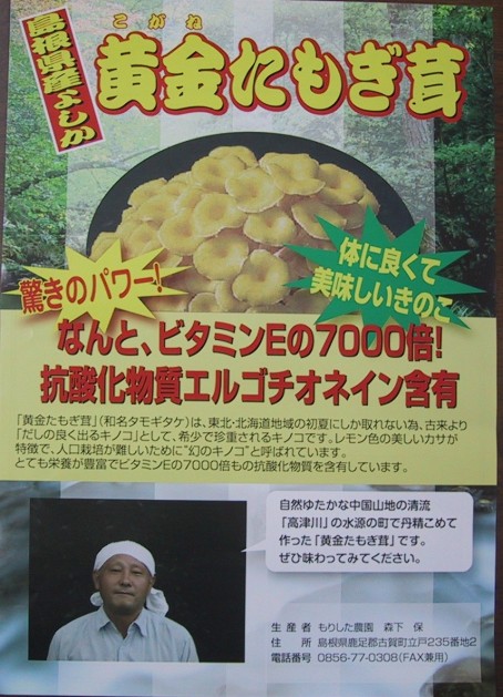 黄金たもぎ茸