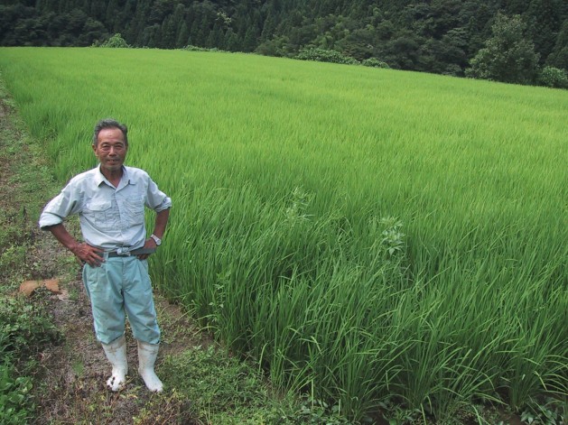 但馬 村岡米 極