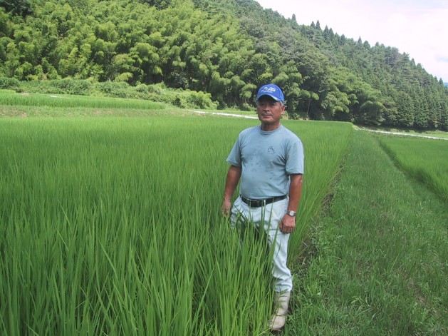 但馬 村岡米 極