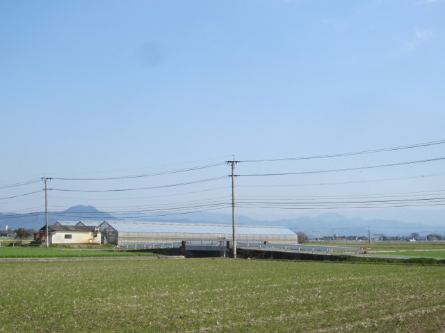 熊本県熊本市画図町　田んぼの風景　コメショウ