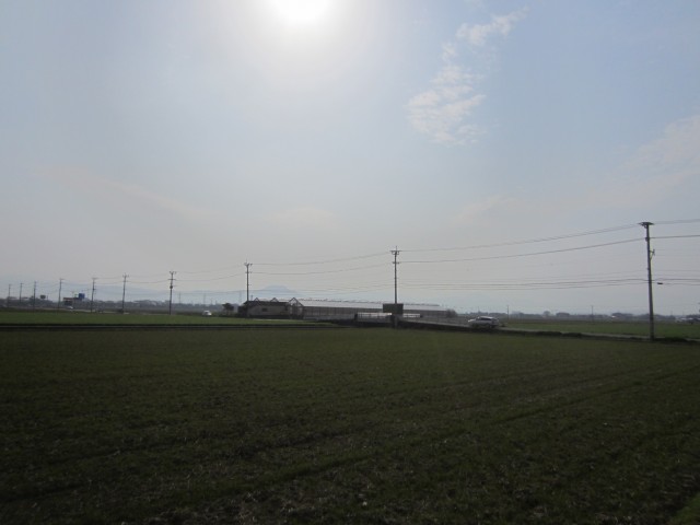 熊本県熊本市画図町　田んぼの風景　コメショウ