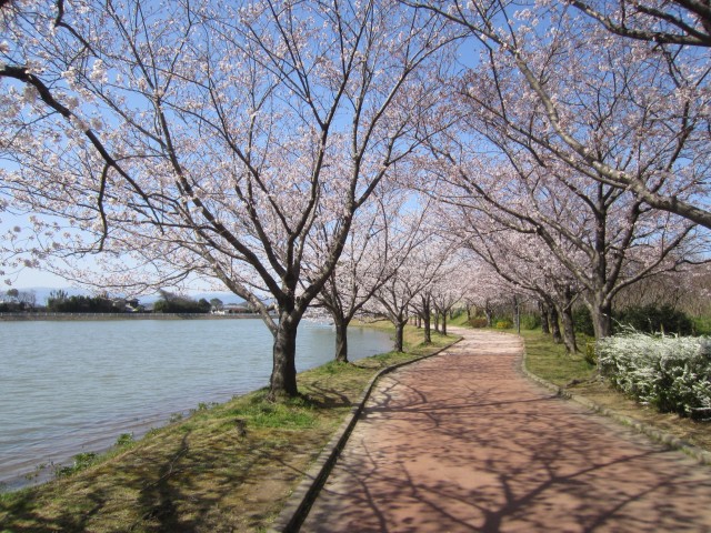 駕与丁公園　福岡県糟屋郡粕屋町　コメショウ