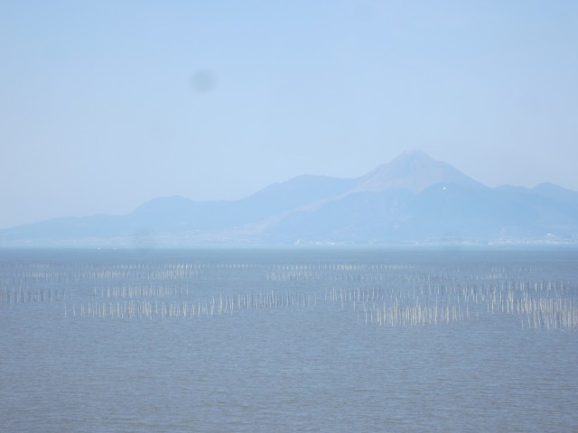 コメショウ　有明海　海苔養殖棚　島原半島　雲仙　　熊本県熊本市西区河内町　国道５０１号線