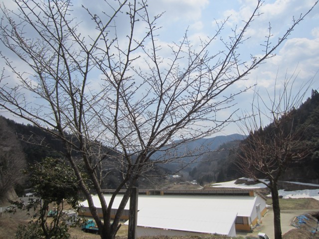 兵庫県但馬　美方郡香美町村岡区熊波　熊波の棚田　コメショウ