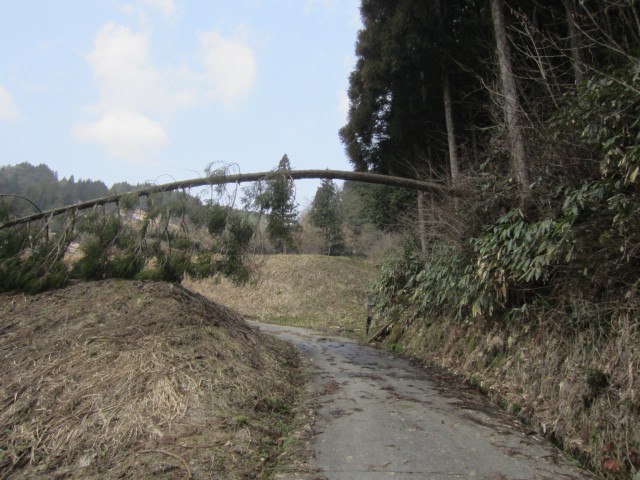 兵庫県但馬　美方郡香美町村岡区熊波　熊波の棚田　コメショウ