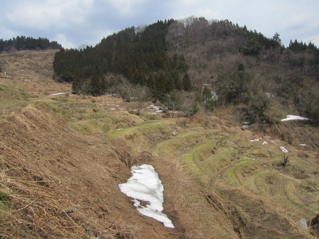 兵庫県但馬　美方郡香美町村岡区熊波　熊波の棚田　コメショウ