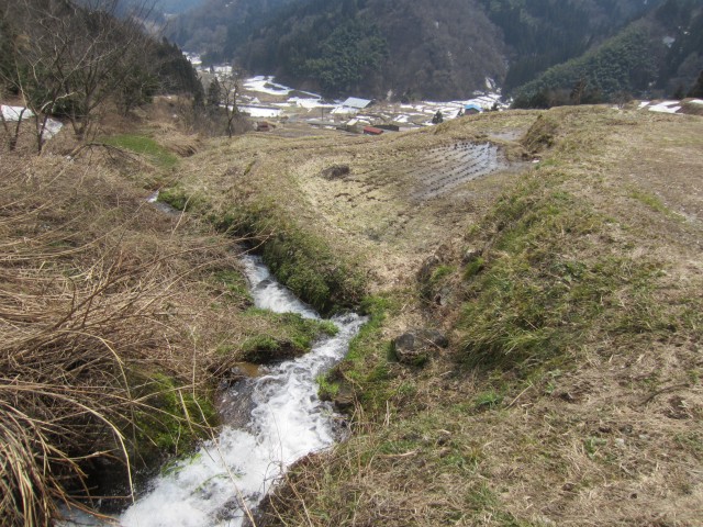 兵庫県但馬　美方郡香美町村岡区熊波　熊波の棚田　コメショウ