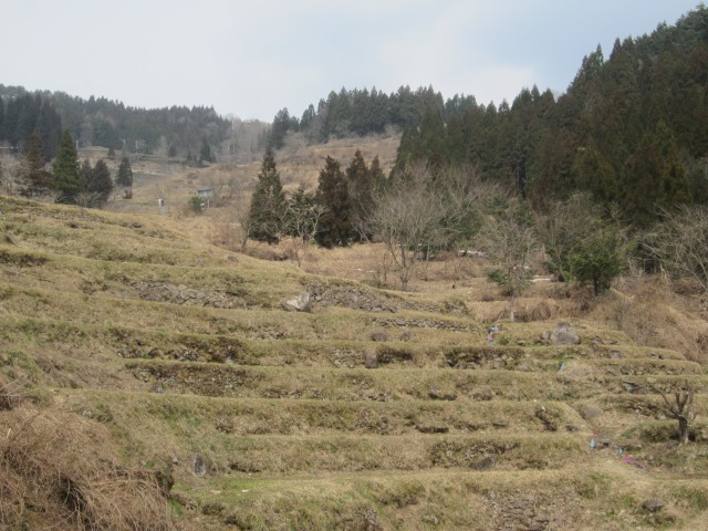 兵庫県但馬　美方郡香美町村岡区熊波　熊波の棚田　コメショウ