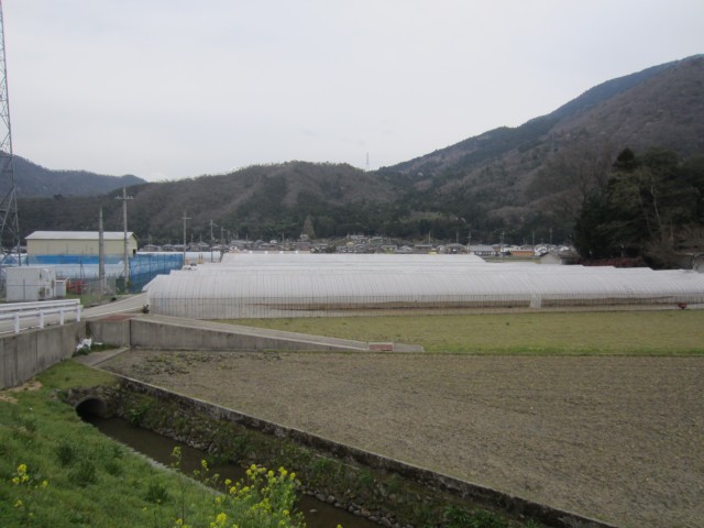 兵庫県朝来市和田山町　高本農場　作業場　ビニールハウス　コメショウ