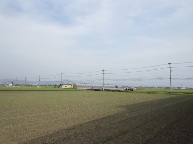 Ｈ２４　４／２４　熊本県熊本市東区画図町　田んぼの風景　コメショウ