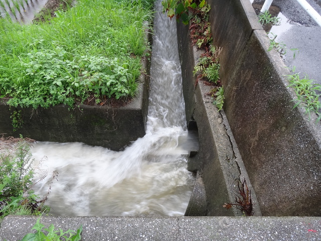 コメショウ　福岡県糟屋郡須恵町　大雨洪水警報