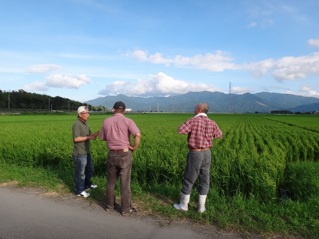 鹿児島県肝属郡東串良町　大幸農産　中島正幸さん　早期米の視察　コメショウ