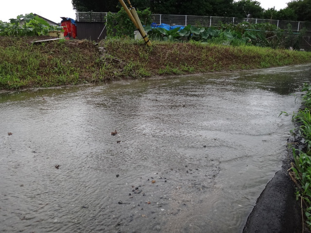 コメショウ　福岡県糟屋郡須恵町　大雨洪水警報