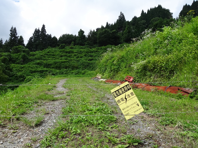 電気柵　兵庫県但馬　美方郡香美町村岡区熊波　熊波の棚田　コメショウ