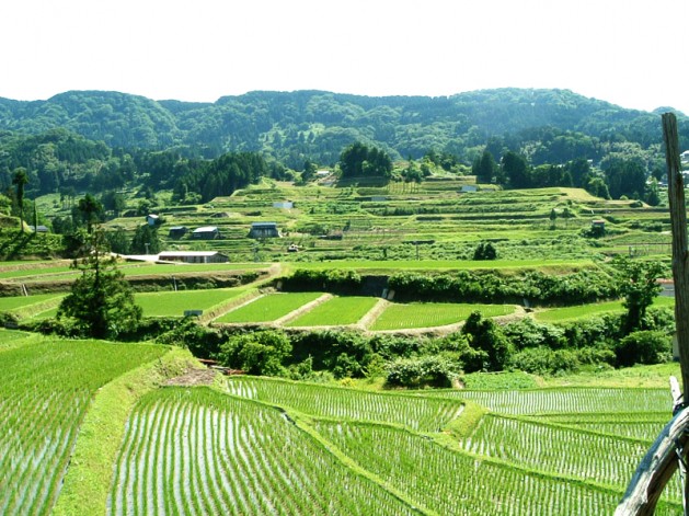 村岡のお隣にある兵庫県美方郡新温泉町