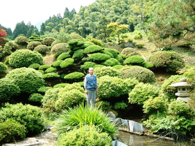 茅葺屋根の家と庭